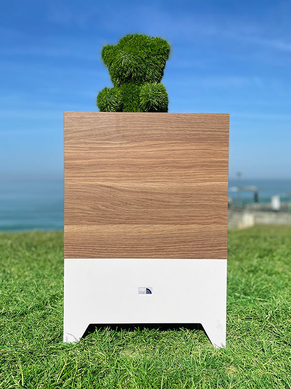 Hifi green Bois Absolutsound Biarritz